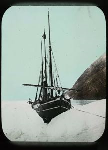 Image of S.S. Roosevelt Against Iceberg